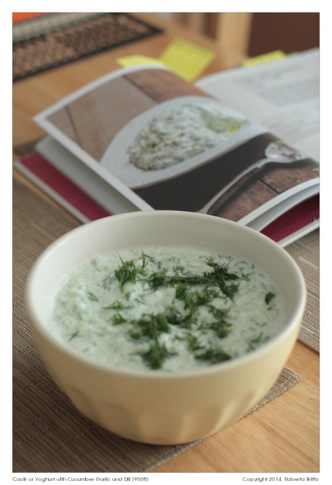 Cacik or Yoghurt with Cucumber Garlic and Dill (9558)