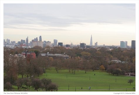 The View from Primrose Hill (0456)
